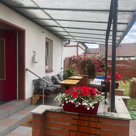 Kahnstuebchen Mit Neuem Innenhof Garten Люббен Екстер'єр фото